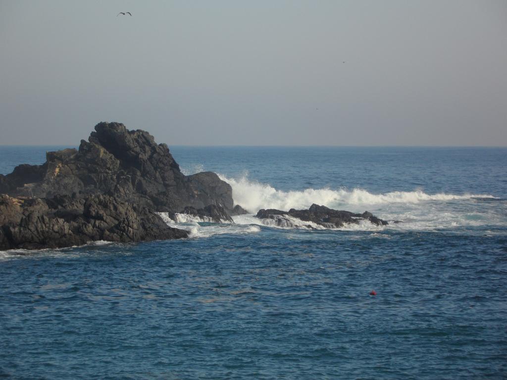 Appartamento Vista Y Mar Valparaíso Esterno foto